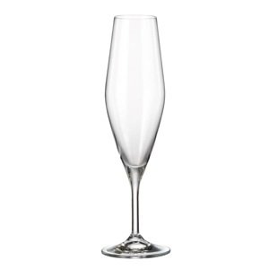 Crystalite Bohemia sklenice na šampaňské Gavia 220 ml 6KS