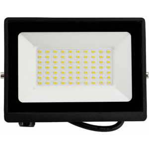 LED reflektor 2v1 - 50W - neutrální bílá